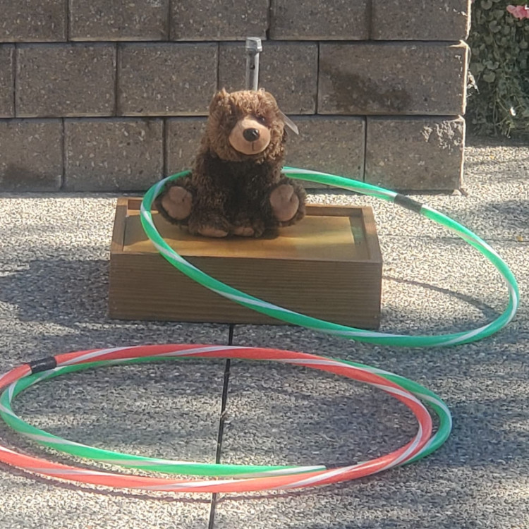 Ring a Bear - Hula Hoop Toss game rental — BSA Events Metro Detroit